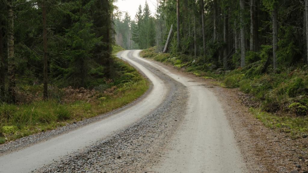 En grusvej der bugter sig i en skov